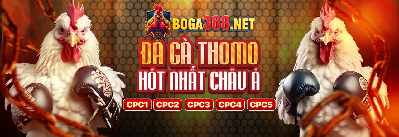 Hình ảnh chính về hướng dẫn an toàn cá cược trực tuyến của win 68